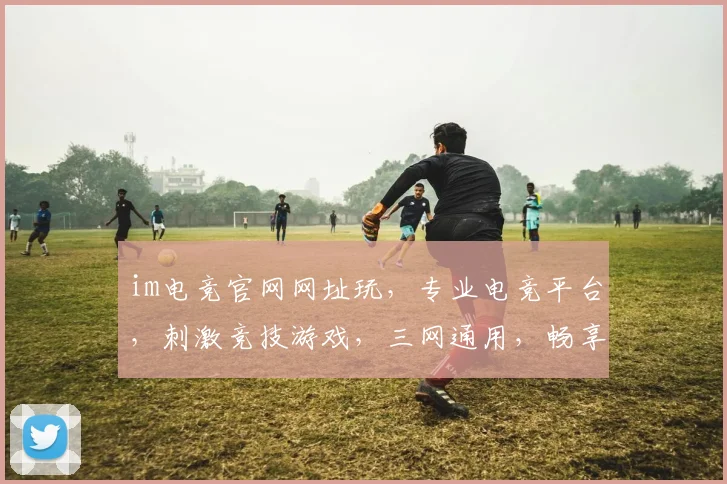 im电竞官网网址玩，专业电竞平台，刺激竞技游戏，三网通用，畅享精彩，一触即达，快来体验
